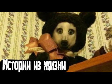 Видео: Истории из жизни. Страшные. Мистические. Творческие истории. Хоррор