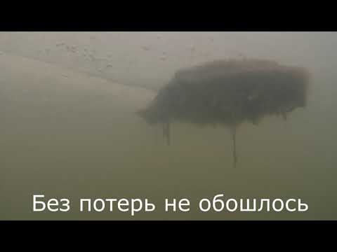 Видео: Зимовка рыбы