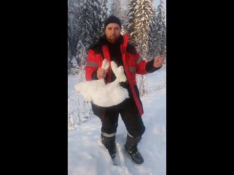 Видео: В каком месте правильно установить  петлю на зайца или лисицу