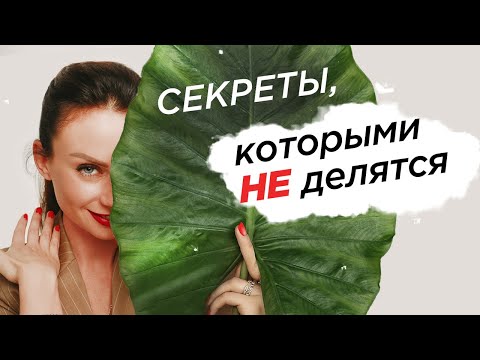 Видео: Как влюбить в себя мужчину?