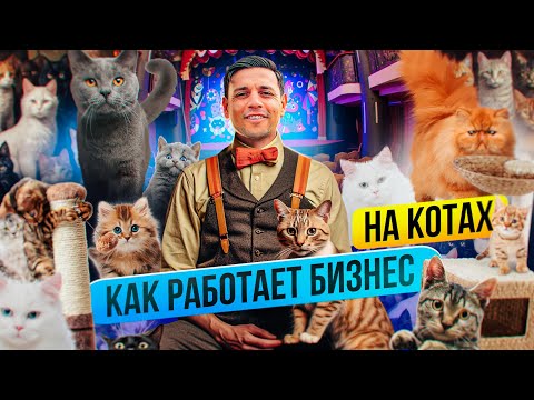 Видео: Как открыть бизнес на когтеточках для кошек? Идея для бизнеса с годовым оборотом 80 000 000 рублей