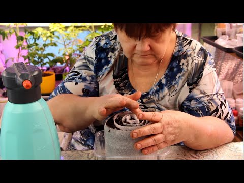 Видео: НЕ ДЕЛАЙТЕ УЛИТКУ для РАССАДЫ пока НЕ ПОСМОТРИТЕ это видео