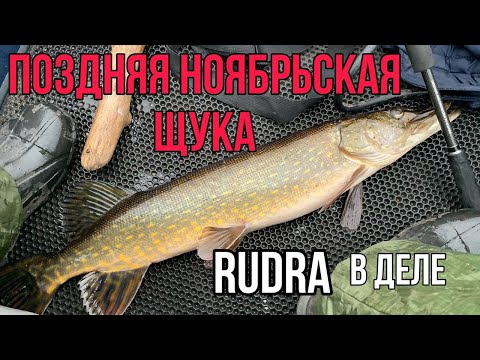 Видео: Щука осенью на озере. Воблер Rudra в деле.