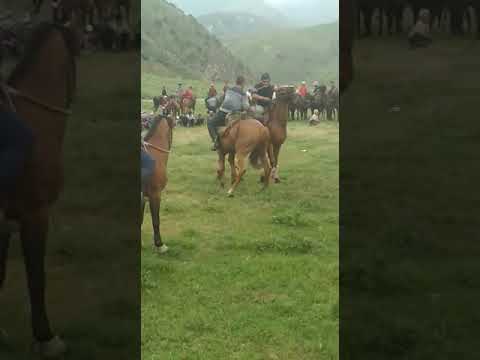 Видео: Такталык мусулман