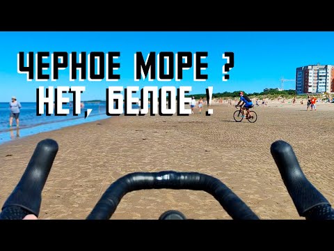 Видео: Север летом | Велосипеды, море, дикие спортплощадки