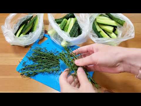 Видео: Малосольные огурцы в пакете. Быстрый рецепт