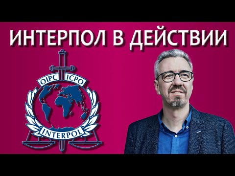 Видео: Интерпол в действии / Работа адвоката с Интерполом