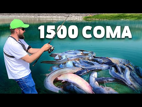 Видео: 5 ТОНА СОМ ИЗБЯГА в ЯЗОВИРА!!! Риболов на сом на спининг с клатушка