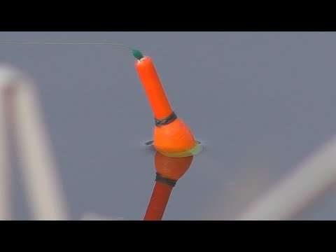 Видео: Рыбалка на поплавок в середине марта  Снасть для ловли с камыша