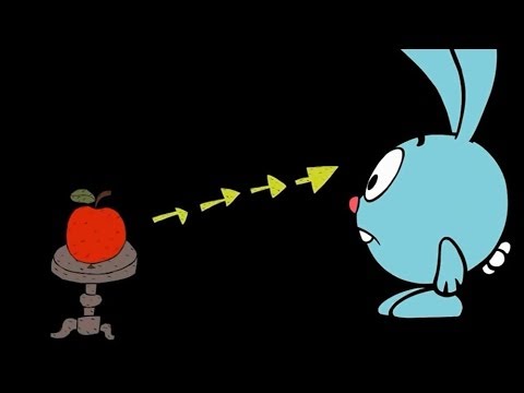 Видео: Метатыква - Смешарики. ПИН - код | Познавательные мультфильмы