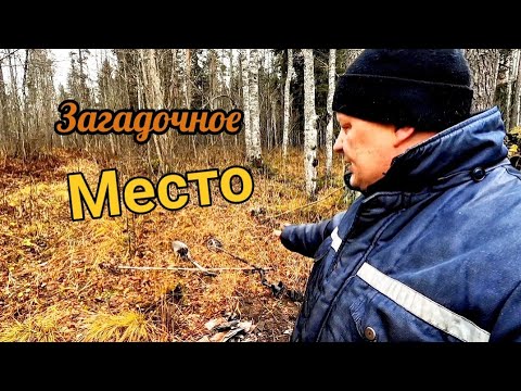 Видео: Так что же здесь было?  Коп металлолома, разведка лесной дороги