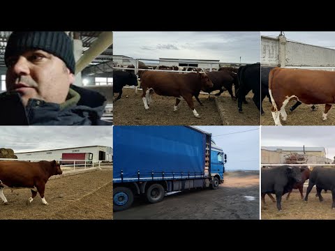 Видео: пошёл погрузка на Таджикистан Ребята только лайки ставьте видео Поделитесь