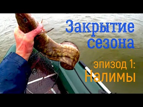 Видео: Закрываю летний сезон НАЛИМАМИ.