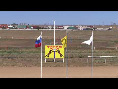 Видео: Дерби 2018