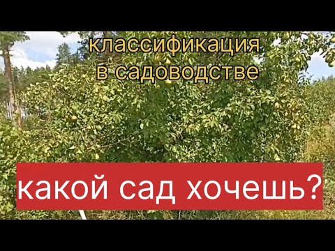 Видео: Какой сад хочешь вырастить?