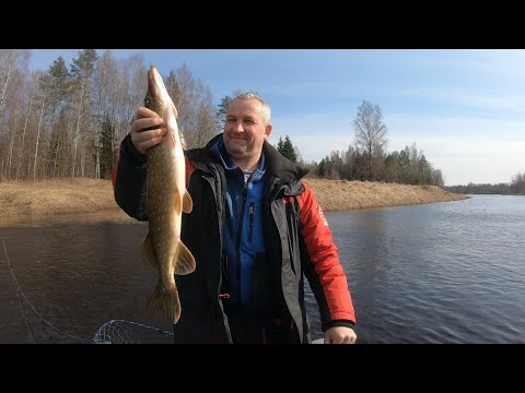 Видео: Весенняя рыбалка на щуку.