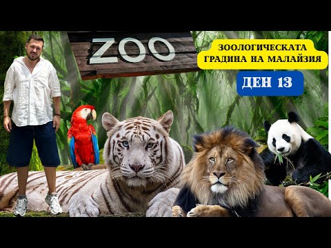 Видео: ПРИКЛЮЧЕНИЯ В СТОЛИЦАТА НА МАЛАЙЗИЯ I 60 ДНИ В АЗИЯ - ДЕН 13