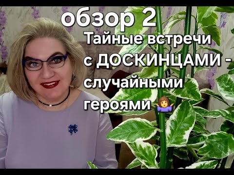 Видео: Тайные встречи с ДОСКИНЦАМИ-случайными героями