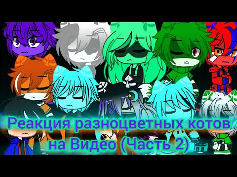 Видео: 🧡💚💜Реакция Разноцветных Котов на Видео про Них (часть 2)🩵🤍❤️ #бискастащитосень #бискас #реакция