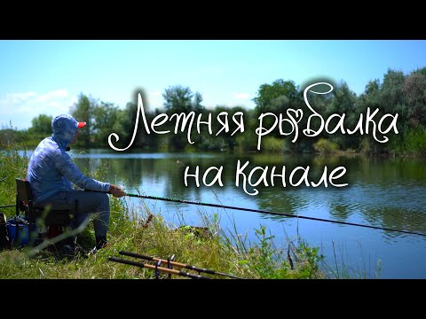 Видео: Ловим на маховую удочку! Есть ли здесь крупная рыба?