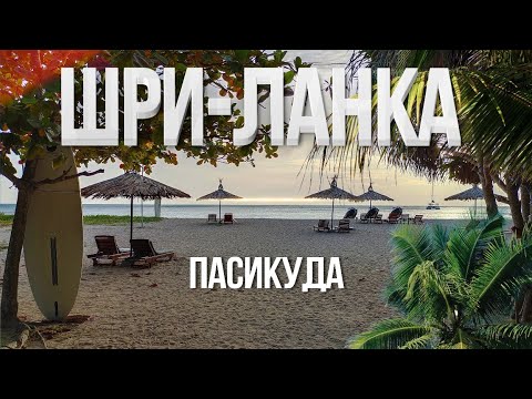 Видео: МОСКВА - ШРИ-ЛАНКА: Перелёт, Который Мы Точно Запомним! / Passikudah Beach