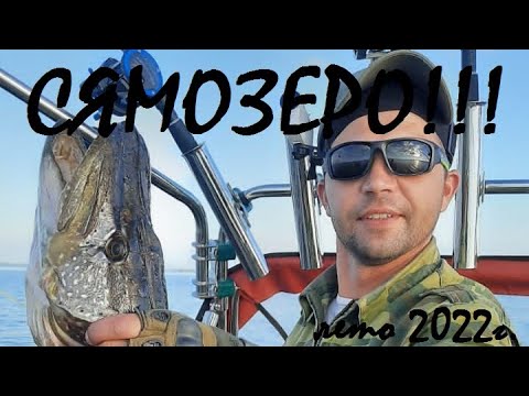 Видео: СУДАК и ЩУКА в Карелии на СЯМОЗЕРЕ  лето-2022!!! Трофеи на СЯМОЗЕРЕ!!!