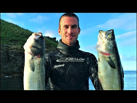 Видео: SPEARO LIFE - ЭПИЗОД 1 Путешествие в Корнуолл! КИТ, дельфины, омары, окунь, сайда...