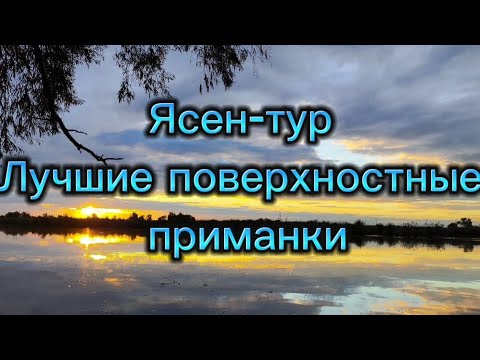 Видео: Лучшие поверхностные приманки | Хе из щуки | Лютая раздача