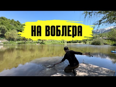 Видео: Ловим форель на воблера, пробуем знаменитый 1089