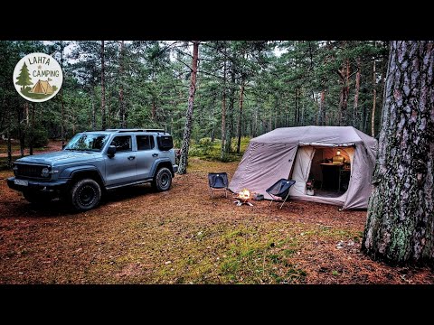 Видео: Кемпинг в лесу. Ноябрьская атмосфера. [ASMR camping]