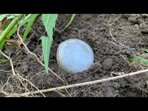 Видео: Ночной коп с металлоискателем 