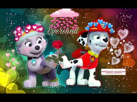 Видео: 🌷Маршалл & Эверест🌷~ для Skye paw patrol/💫Marshall x Everest💫~ for Skye paw patrol.