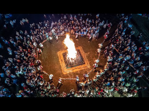 Видео: Стотици българи и чужденци в носии събра в Тервел фестивалът на бялата жътва