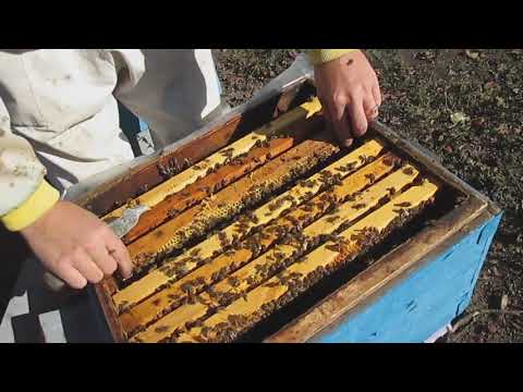 Видео: Изолятор  ХМАРЫ  работает   копия