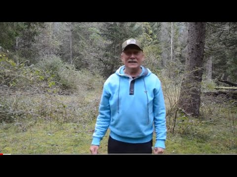 Видео: Приехал в лес собрать грибы зонтики !Желтый груздь и рыжики ! Опят пока нет осенних . Ждем .