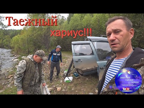 Видео: В тайгу за хариусом 2023г