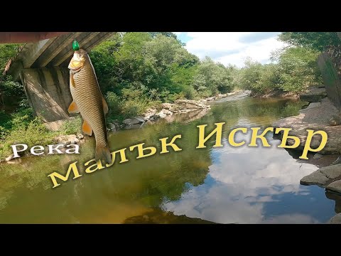 Видео: За кефали  на река Малък искър.Спининг риболов.