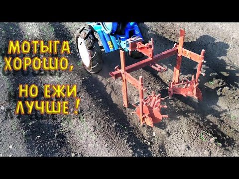 Видео: Ежи для прополки картофеля в деле. Rotor harrow.