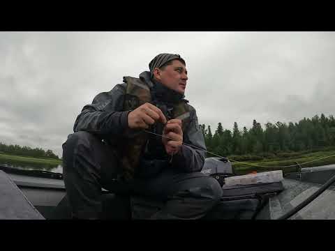 Видео: Рыбалка на хищника в хорошей компании!