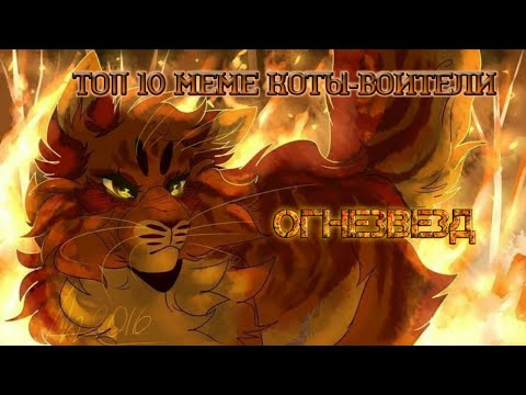 Видео: Топ 10 меме Коты-Воители: Огнезвезд