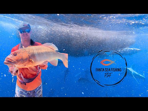 Видео: Невероятная игра наживки и огромная форель!!