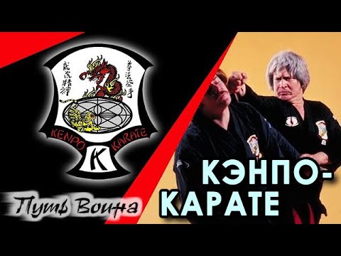 Видео: Кэнпо-Карате: первое знакомство.