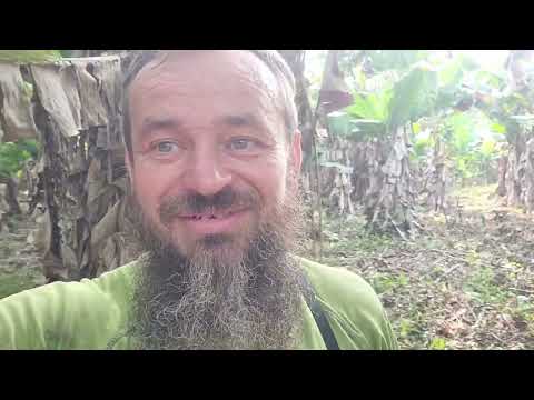 Видео: продам землю в Боливии! много интересного для всех кто собирается уезжать на землю!