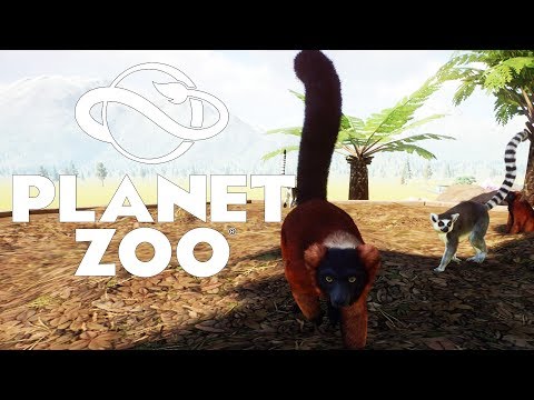 Видео: НОВЫЙ ДОМ ДЛЯ ЛЕМУРОВ #27 PLANET ZOO ПРОХОЖДЕНИЕ