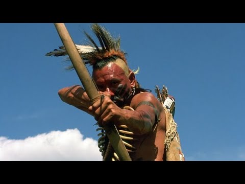 Видео: Стрельба по лягушкам на болоте из лука