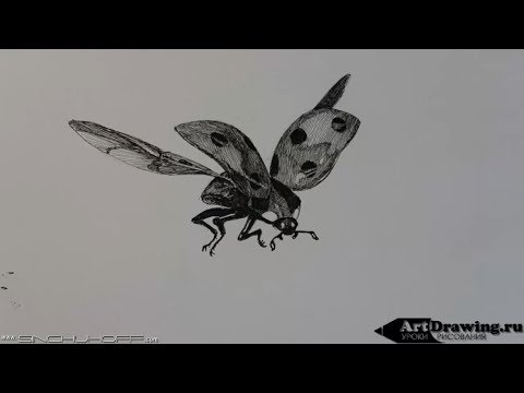 Видео: Рисуем линером божью коровку