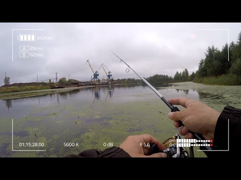 Видео: Zetrix Hayron HRS 742LML. Добротный универсальный спиннинг. Айда на берег!