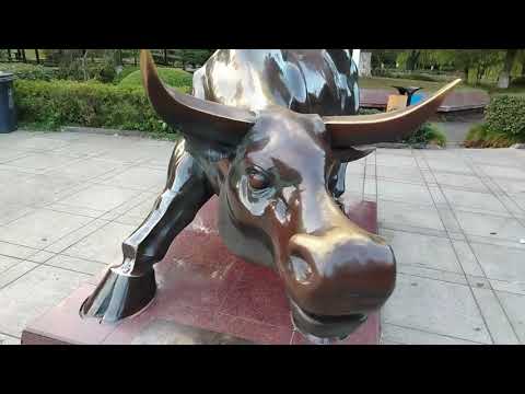 Видео: Прогулка в парке. Город Нинбо. Китай. #top #путешествия #2025 #интересно #китай #тренды #travel
