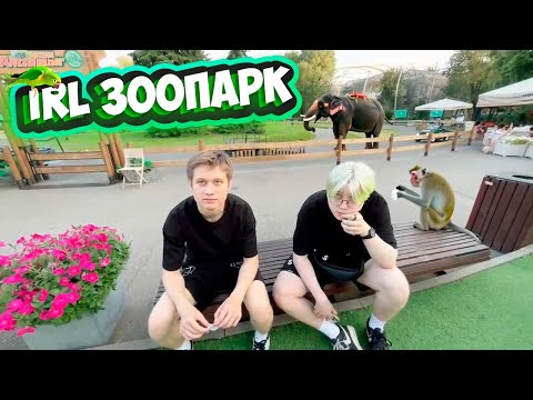 Видео: АНЕК И ДРЕЙК В ЗООПАРКЕ | ПОЛНАЯ ЗАПИСЬ СТРИМА от 17.07.2023
