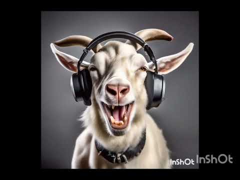 Видео: Веселый троллинг мошенников